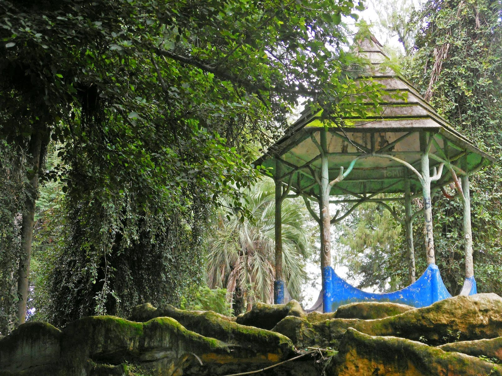 El parque de Santa Ana de Carlos Thays cumple 115 años. Magnifico en su  tiempo hoy en estado de abandono | Revista Historia para todos